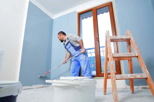 Environmental Consulting for Mold Prevention in Kurtistown, HI