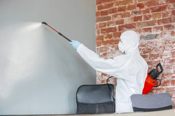 Best HVAC Mold Inspection and Cleaning  in Kurtistown, HI