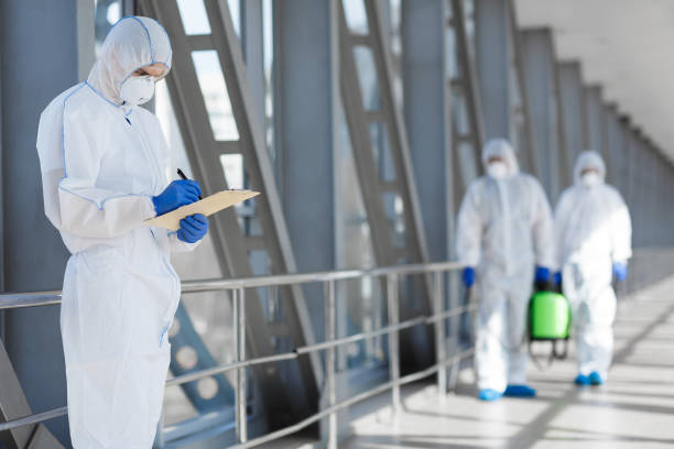 Best Post-Construction Mold Inspection  in Kurtistown, HI