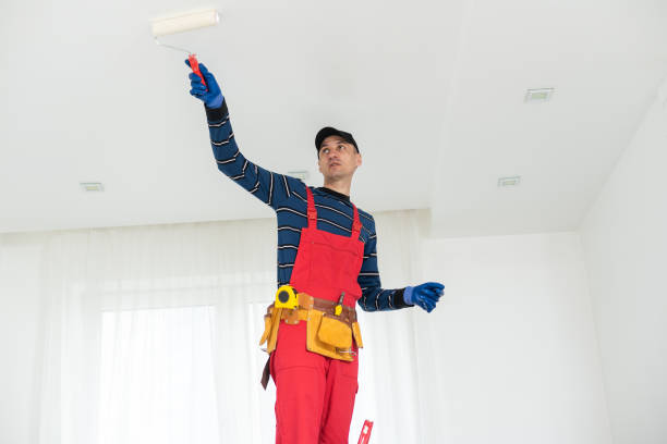Best Mold Documentation for Insurance Claims  in Kurtistown, HI