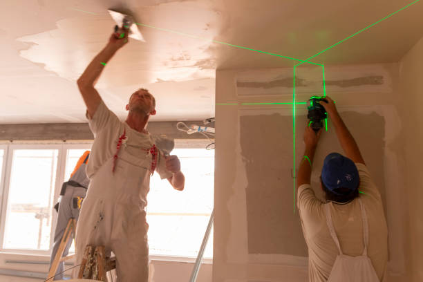 Best Air Quality Testing for Mold Spores  in Kurtistown, HI