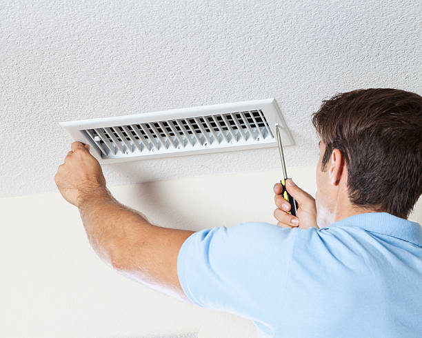 Best Industrial Mold Remediation  in Kurtistown, HI